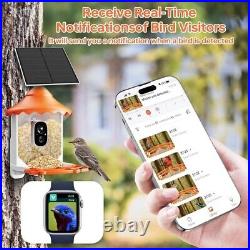 Smart Bird Feeder with Camera, Solar Powered AI 1080P HD with Instant Alert