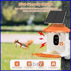 Smart Bird Feeder with Camera, Solar Powered AI 1080P HD with Instant Alert