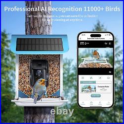 Smart Bird Feeder with Camera, Wireless Outdoor, AI Identify 11000+ Bird Species