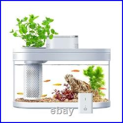 Smart Fish Tank With LED Light Filtration System Quiet Water Pump Small Plant