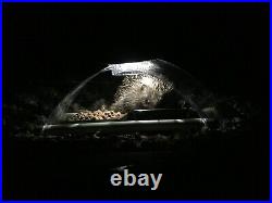 Solar Illuminated Hedgehog Feeder Wildlife Accessories