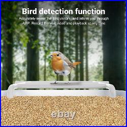 Solar Smart Bird Feeder 1080 HD Night Vision Camera Bird Species Feeder New