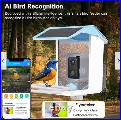 Solar Smart Bird Feeder Camera 1080P Night View AI Recognition Auto Capture Z1V6