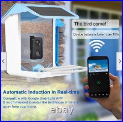 Solar Smart Bird Feeder Camera 1080P Night View AI Recognition Auto Capture Z1V6