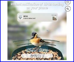 Soliom smart bird feeder BF08 AI identify species solar wifi camera NEW