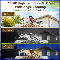 Zootop Smart AI Bird Feeder Camera 1080P HD, Night Vision, Solar-Powered